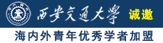 在线操Bxx诚邀海内外青年优秀学者加盟西安交通大学